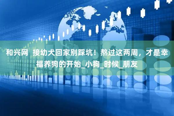 和兴网  接幼犬回家别踩坑！熬过这两周，才是幸福养狗的开始_小狗_时候_朋友