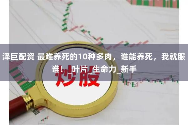 泽巨配资 最难养死的10种多肉，谁能养死，我就服谁！_叶片_生命力_新手