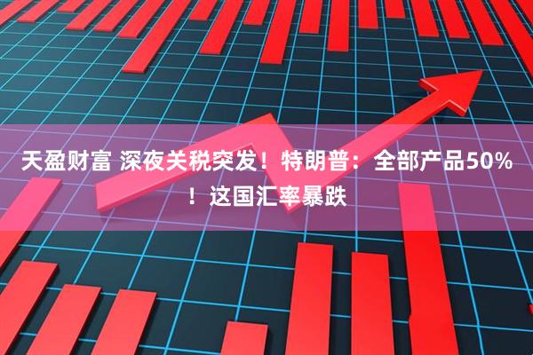 天盈财富 深夜关税突发！特朗普：全部产品50%！这国汇率暴跌