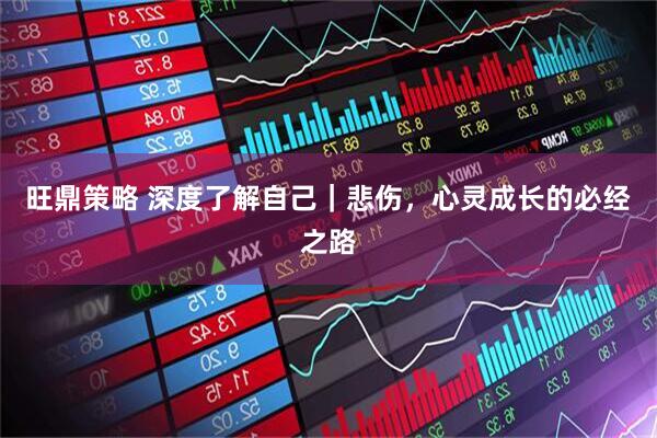 旺鼎策略 深度了解自己｜悲伤，心灵成长的必经之路